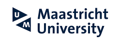 maastricht-university-icarus-ai